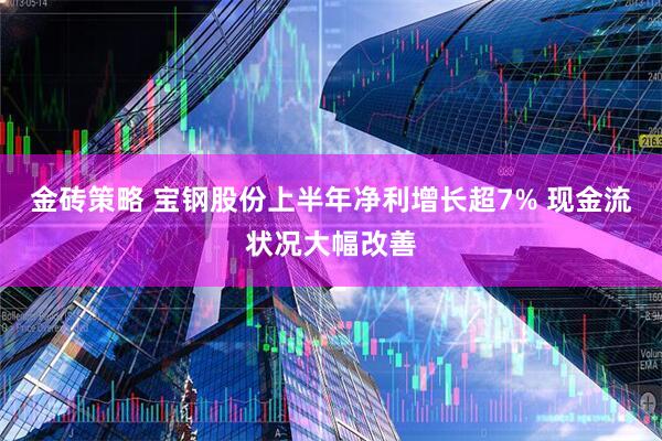 金砖策略 宝钢股份上半年净利增长超7% 现金流状况大幅改善
